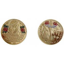 D11417 Medaille 32mm Lourdes Priere A Marie
