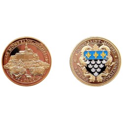 D11169 Medal 32 mm Le Mont St Michel + Mouton Or Blason Msm