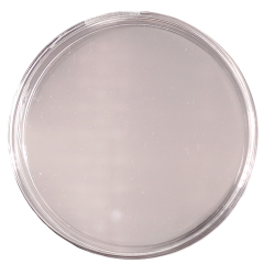CPS01 Capsule 32 mm
Par paquet de 20