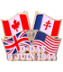 MN15 Magnet Metal D Day Drapeaux Allies