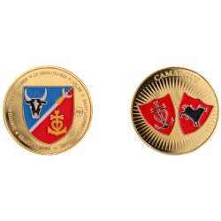 K11503 Medaille 34 mm Croix de Camargue + Taureau