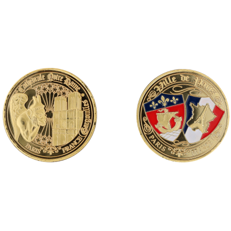 E1164 Medal 40mm Paris Nd Gargouille Blasons